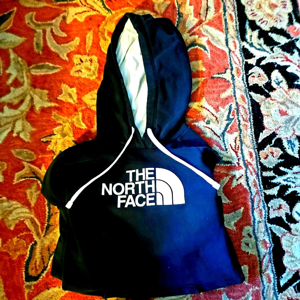 The north face hoodie